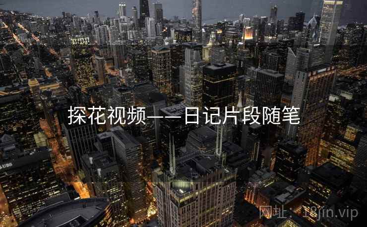 探花视频——日记片段随笔