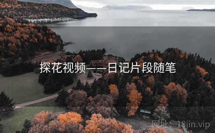 探花视频——日记片段随笔