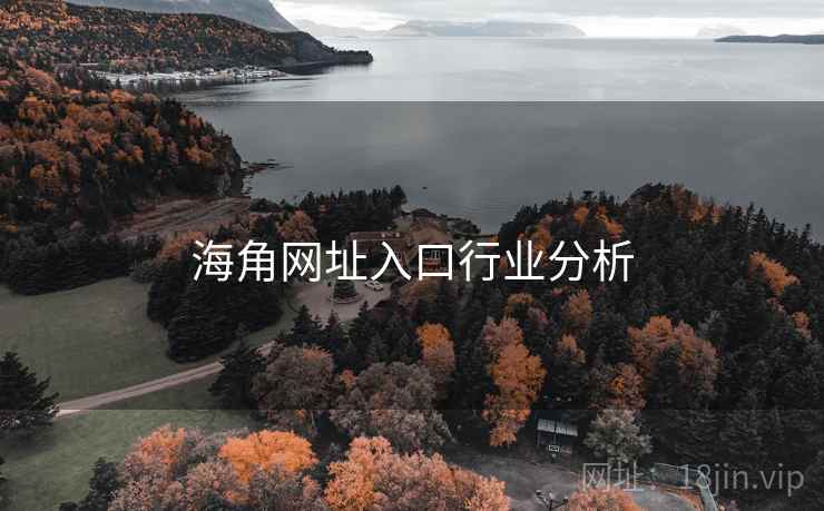海角网址入口行业分析  第1张