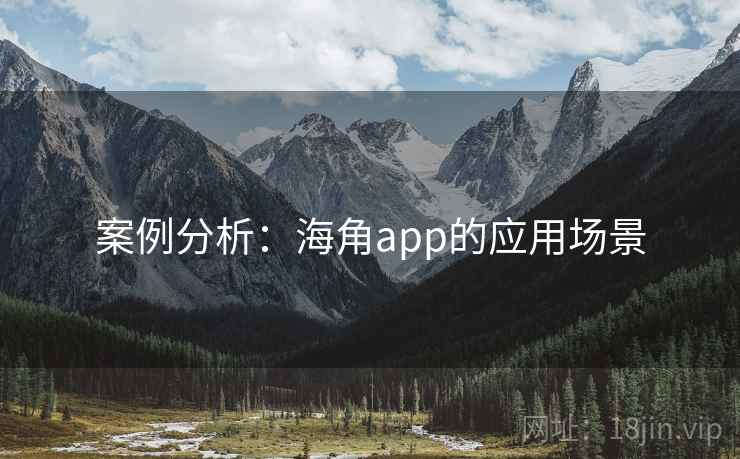 案例分析：海角app的应用场景  第2张