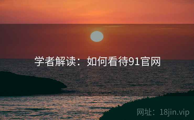 学者解读：如何看待91官网