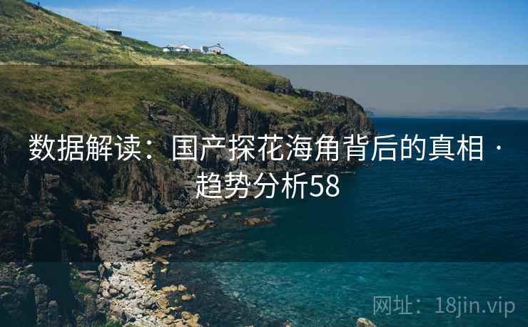 数据解读：国产探花海角背后的真相 · 趋势分析58