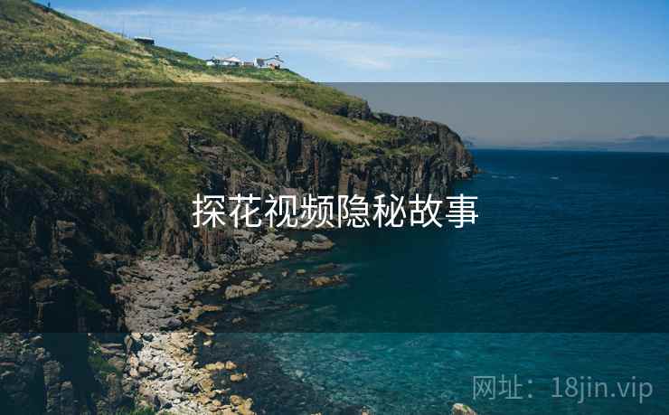 探花视频隐秘故事