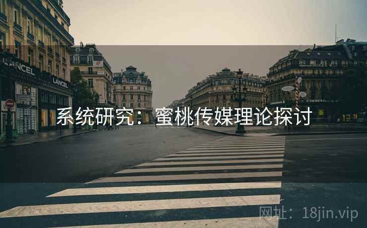 系统研究：蜜桃传媒理论探讨
