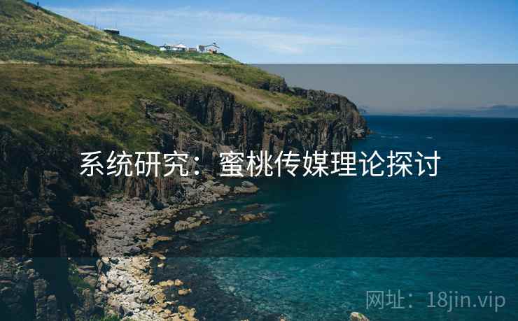 系统研究：蜜桃传媒理论探讨