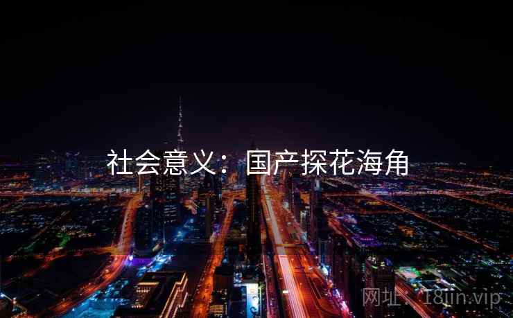 社会意义：国产探花海角  第2张