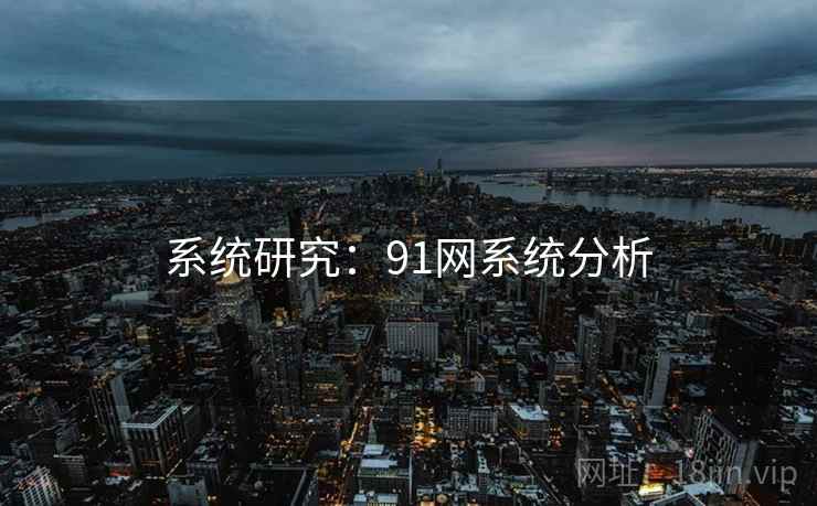 系统研究：91网系统分析