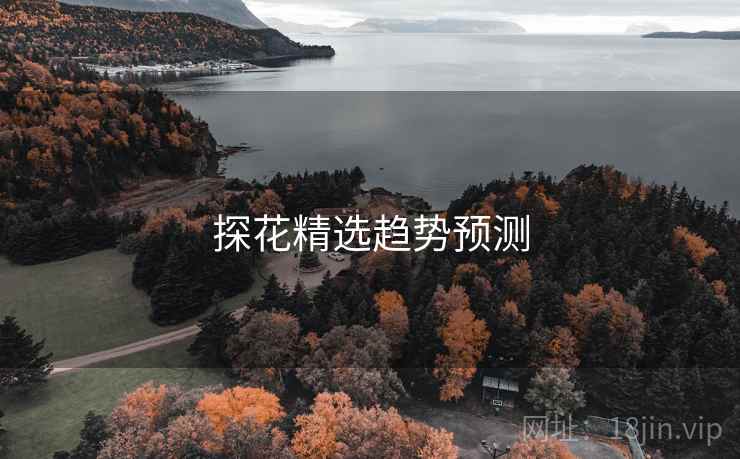 探花精选趋势预测