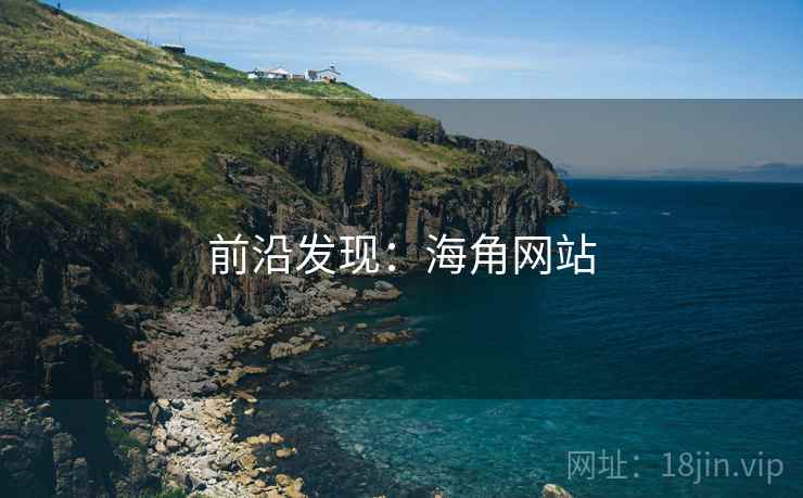 前沿发现：海角网站