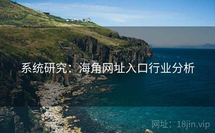 系统研究：海角网址入口行业分析