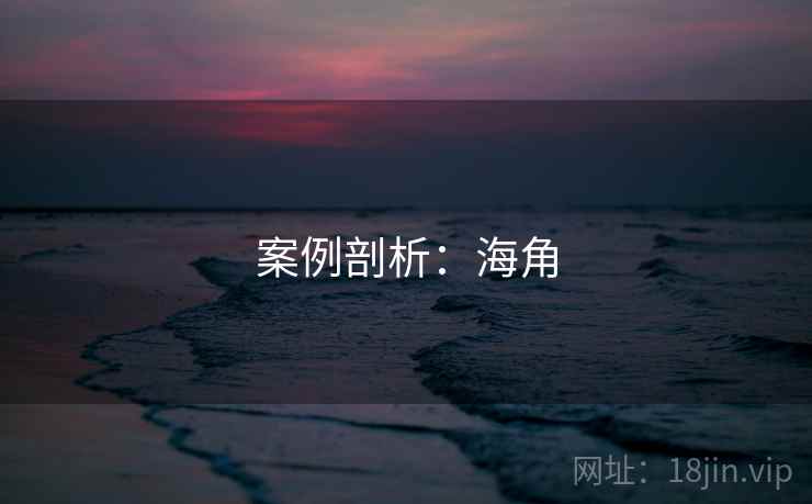 案例剖析：海角